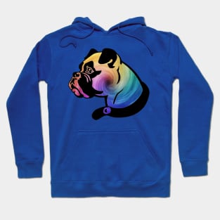 Rainbow Swirl Boxer Hoodie